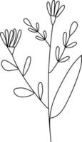 illustrazione di un' fiore, nero e bianca fiore, botanico vettore, schema, illustrazione, natura, fiore, estate vettore