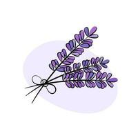 lavanda fiori vettore illustrazione. carino mano disegnato lavanda rametti legato nel mazzo