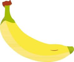 piatto stile illustrazione di maturo Banana. vettore
