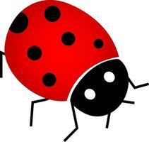 piatto vettore illustrazione di coccinella.