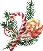 abete ramo e Natale caramella canne con un' a strisce modello su un isolato sfondo. a tema arredamento per Natale e nuovo anno. vettore illustrazione