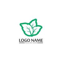 albero foglia vettoriale e logo verde design concetto amichevole