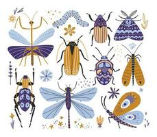 divertente mano disegnato insetti impostare. stilizzato bug illustrazione vettore
