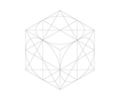 isometrico disegno di un' cubo con cerchi inscritto vettore