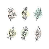 set di simboli di colpo di linea di pianta foglia ramo di decorazione floreale illustrazione vettoriale di doodle disegnato a mano