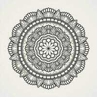 mandala modello con fiore preparativi e combinazione di geometrico forme. Islam indù buddista India Pakistan Cinese arabo vettore