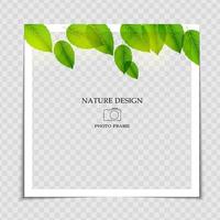 modello di cornice per foto di sfondo naturale con foglie verdi per post nei social network vettore