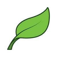verde foglia semplice colorato vettore icona isolato su bianca piazza sfondo. semplice piatto schema cartone animato vettore icona disegno con naturale foglia e botanico tema.