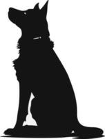 pastore animale domestico cane silhouette nero e bianca classico vettore
