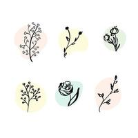 vector set elementi botanici fiori di campo, erbe. raccolta giardino e fogliame selvatico, fiori, rami. illustrazione piante isolate su sfondo bianco