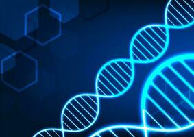 dna molecolare struttura tecnologia sfondo Spettacoli il connessione di il dna struttura per informazione Usato nel medicina adatto per manifesto opera e opera relazionato per scienza vettore