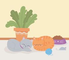 simpatici gatti stanza di riposo con piante e giocattoli animali domestici vettore