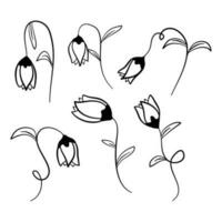 fiore vettore illustrazione scarabocchio stile. scarabocchio fiore. floreale grafico elemento. fiore mano disegnato illustrazione.
