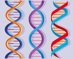 tre molecole di DNA vettore