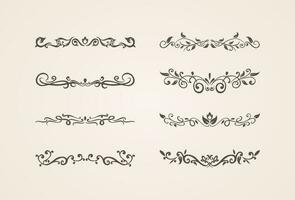 un' collezione mano disegnato calligrafia ornamento frontiere angoli classico Vintage ▾ vettore