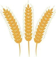 d'oro agricoltura Grano orecchie telaio illustrazione grafico elemento arte carta vettore