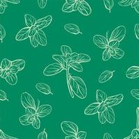 seamless pattern di basilico. erbe italiane un rametto di maggiorana. il basilico è un condimento fragrante e fragrante. illustrazione disegnata a mano vettore