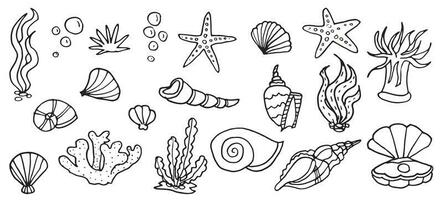 oceano subacqueo conchiglia scarabocchio impostare, tropicale schema mare cartone animato icone per vacanza tessile, isolato su bianca kit vettore