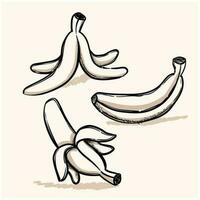 cartone animato Banana scarabocchio impostato singolo pelle, sbucciare e Banana su il terra. collezione di scarabocchio vettore