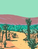 Sentiero naturalistico del giardino dei cactus di cholla vicino alle sorgenti termali del deserto situato nel parco nazionale di joshua tree in california poster art wpa vettore