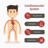 sistema cardiovascolare e icona linea medica vettore