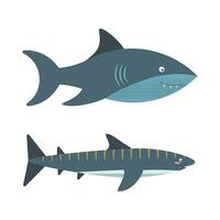 impostato di marino elementi di pesce, squalo nel piatto cartone animato stile. vettore