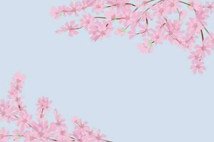 ciliegia fiorire fiore sfondo piazza sociale media modello bandiera vettore illustrazione. carino rosa floreale sfondo per primavera estate con copia spazio.