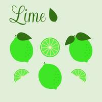 vettore illustrazione. lime collezione nel un' piatto stile.