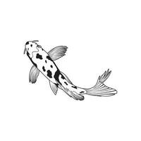 vettore ilustration koi pesce rosso