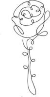 rosa fiore, mano disegnato vettore illustrazione, floreale linea disegno, monocromatico fiore, linea arte, nero e bianca, vettore