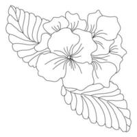 primula fiori linea arte illustrazione vettore