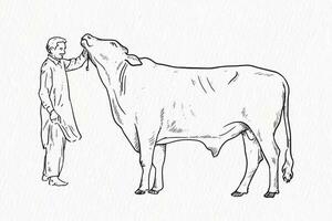 uomo assunzione cura e amorevole il suo mucca per Qurbani linea disegno vettore