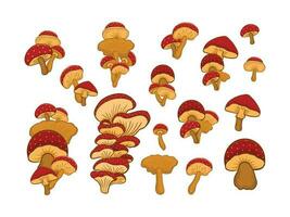 impostato di funghi illustrazione vettore