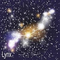 costellazione della lince con bellissime stelle luminose sullo sfondo del cielo cosmico illustrazione vettoriale