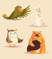 cartone animato animali pappagallo gufo coniglio e castoro icone