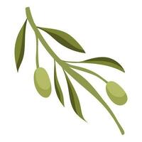 fresco verde oliva biologico icona isolato vettore