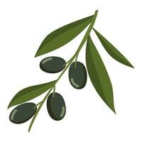 albero ramo con olive icona isolato vettore