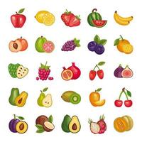 fascio di frutta fresca impostare icone vettore