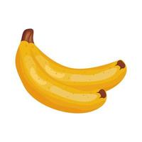 banana fresca deliziosa frutta dettagliata icona di stile vettore