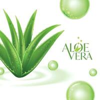 aloe Vera collagene siero pelle cura cosmetico. vettore