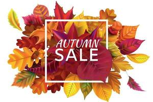 autunno vendita striscione. autunno stagione i saldi, autunnale sconto e caduto le foglie banner telaio vettore illustrazione