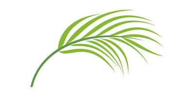 tropicale le foglie e astratto esotico pianta vettore design elementi su il bianca sfondo. piatto design giungla le foglie. natura pianta tropicale le foglie