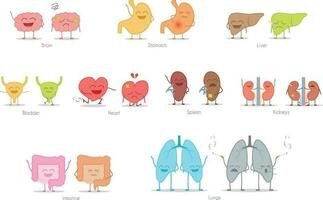 impostato di salutare e malato umano organi nel cartone animato stile. vettore illustrazione