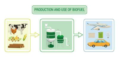 biocarburante produzione infografica vettore