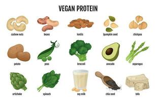 vegano proteina cibo impostato vettore