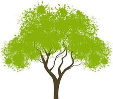 illustrazione di verde albero con spruzzata. vettore