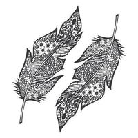 schizzo disegnato a mano ornamentale di piume illustrazione vettoriale con ornamento isolato
