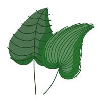 vegetazione tropicale delle foglie vettore