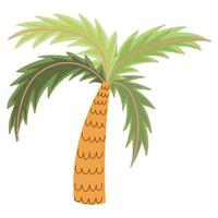 cartone animato esotico della natura della palma tropicale isolato vettore