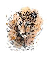 ritratto di un leopardo da una spruzzata di acquerello schizzo disegnato a mano illustrazione vettoriale di vernici